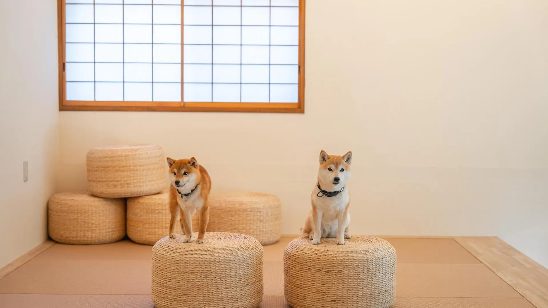 ヴィラ プライベートリゾート犬の日 箱根町